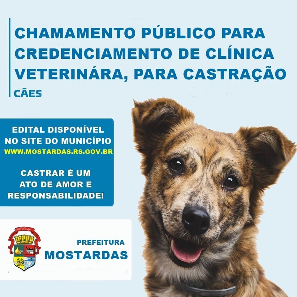 chamamento-publico-para-castracao-de-caes