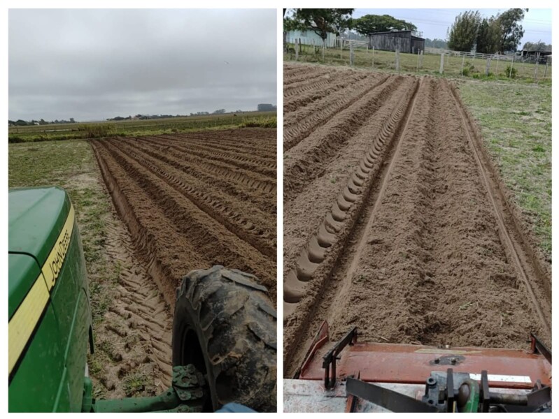 acao-no-4-distrito-trator-da-secretaria-de-agricultura-prepara-a-terra-para-o-plantio