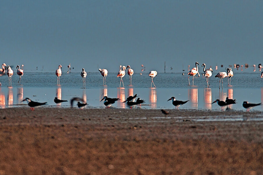 parque-nacional-da-lagoa-do-peixe